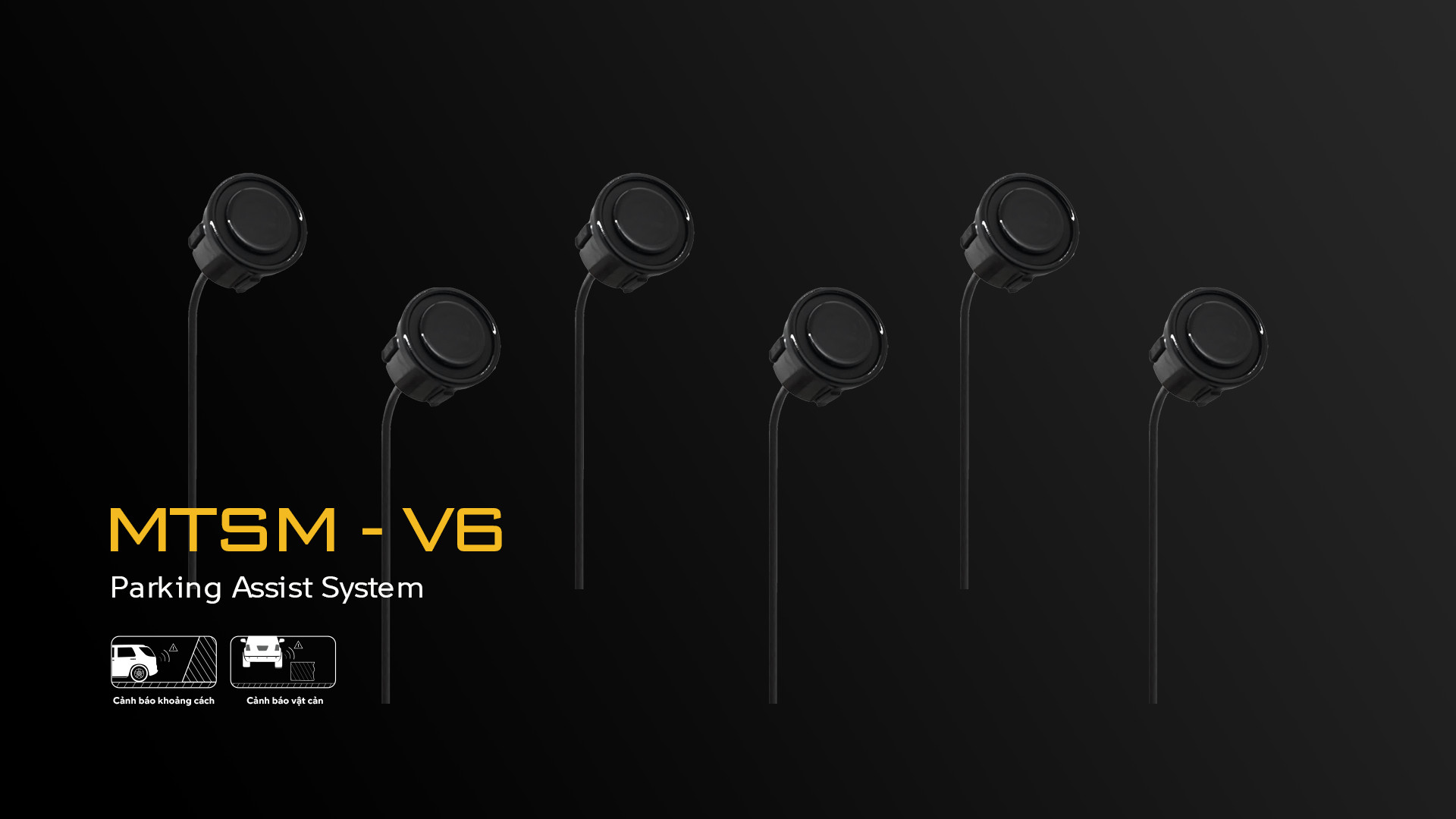 mtsm-v6