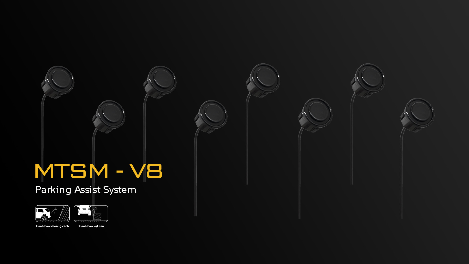 mtsm-v8